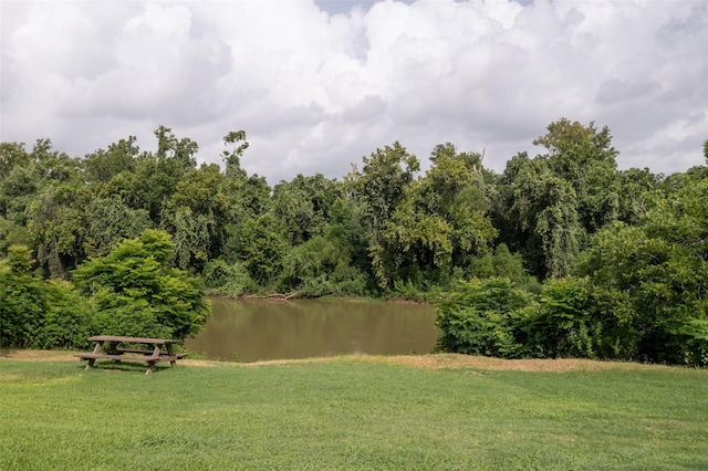 703 Pecan Valley Dr, Wharton, TX 77488 - view of green lawn featuring a water view and a forest view