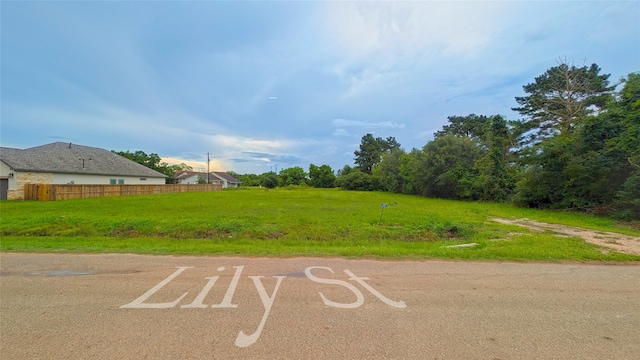 626 Lily St, Prairie View, TX 77484