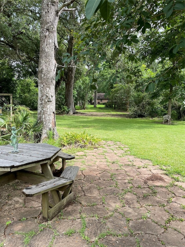 507 Oak Dr, Lake Jackson, TX 77566 - view of green lawn