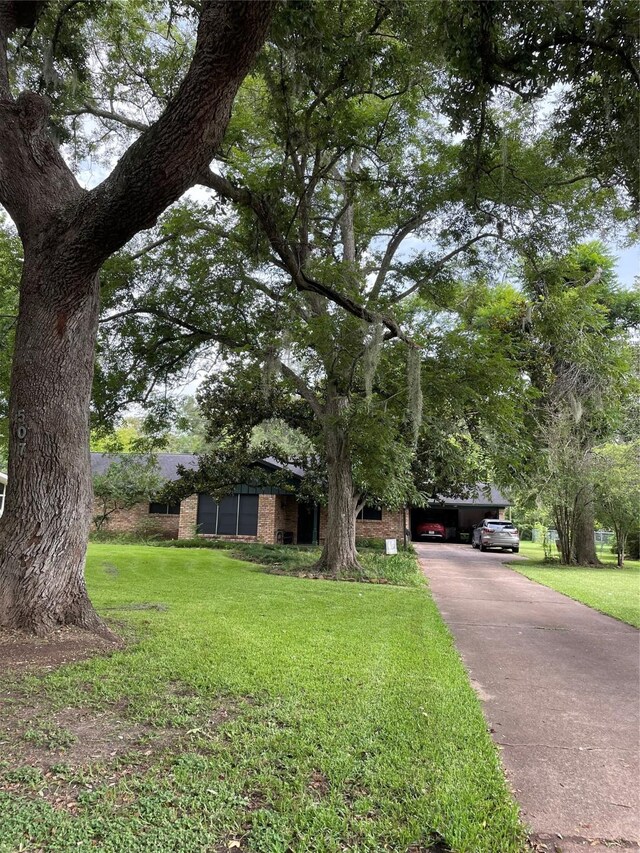 507 Oak Dr, Lake Jackson, TX 77566 - view of property hidden behind natural elements with a front lawn and driveway