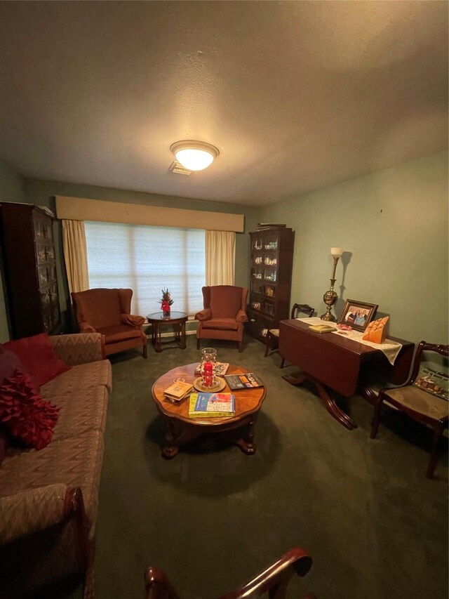 507 Oak Dr, Lake Jackson, TX 77566 - living area featuring carpet floors