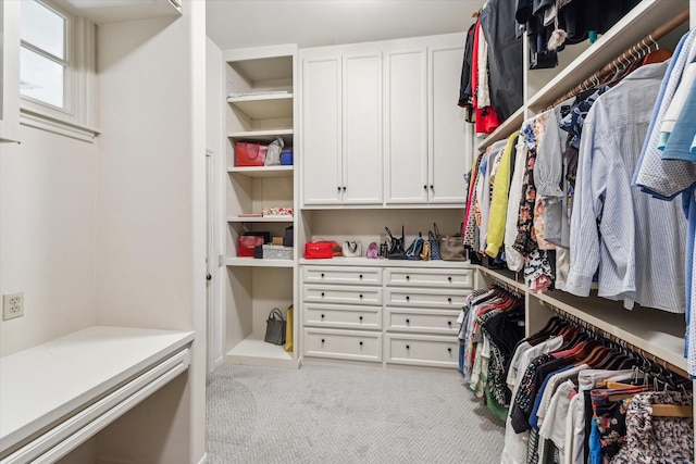 2207 Dunraven Ln, Houston, TX 77019 - spacious closet with light colored carpet