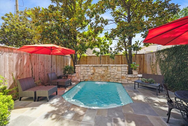 2207 Dunraven Ln, Houston, TX 77019 - view of pool with a patio and a fenced backyard