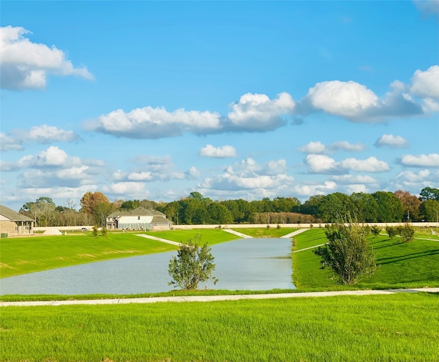 26715 Grandiflora Dr, Magnolia, TX 77355 - photo 9