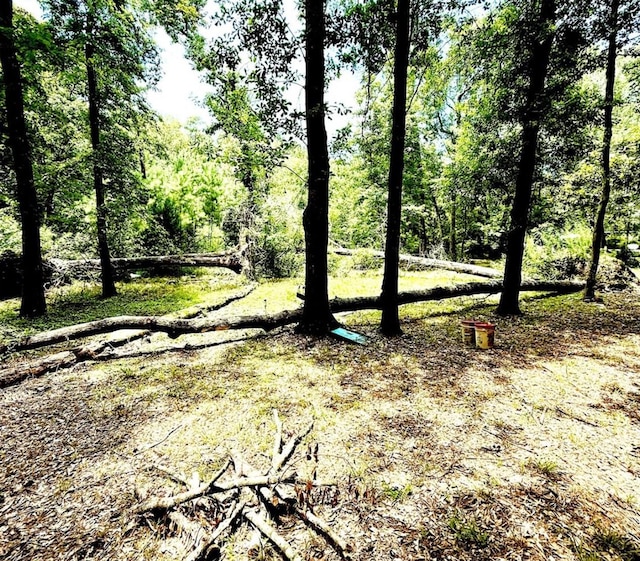 341 Pine Valley Dr, Shepherd, TX 77371 - photo 9