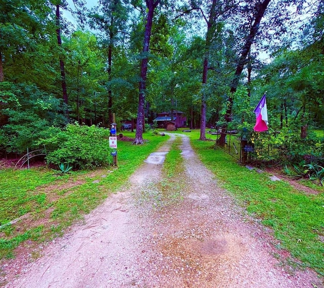 341 Pine Valley Dr, Shepherd, TX 77371 - photo 10
