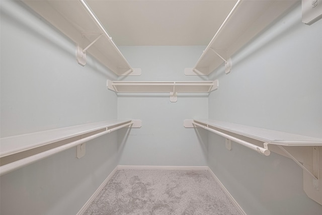 11607 Buck Springs Trl, Tomball, TX 77377 - walk in closet featuring carpet floors