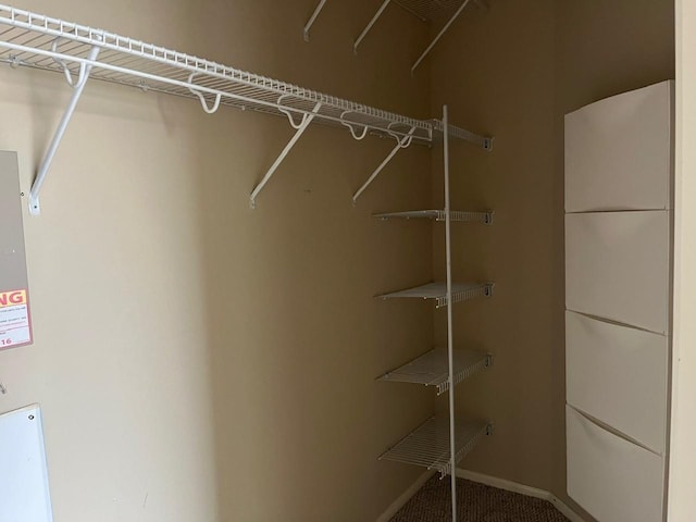 12610 Bethany Bay Dr, Pearland, TX 77584 - spacious closet featuring carpet flooring