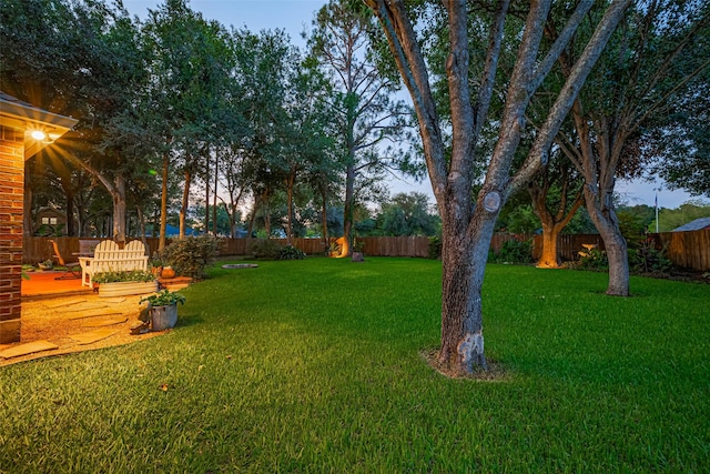 14311 Cally Cir, Needville, TX 77461 - view of fenced backyard