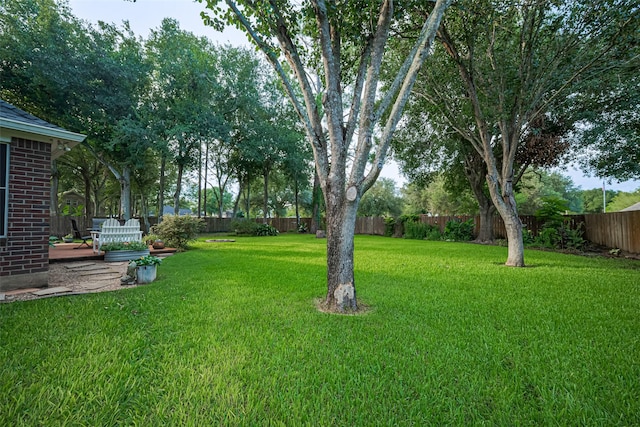 14311 Cally Cir, Needville, TX 77461 - view of fenced backyard