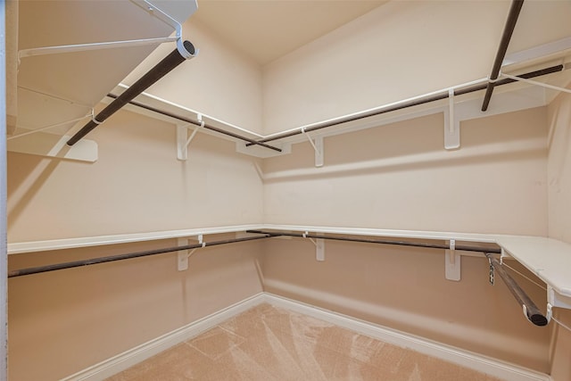 13606 Stern Creek Ln, Houston, TX 77044 - photo 22