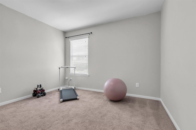 10211 Norway Spruce Ln, Tomball, TX 77375 - exercise area featuring carpet floors