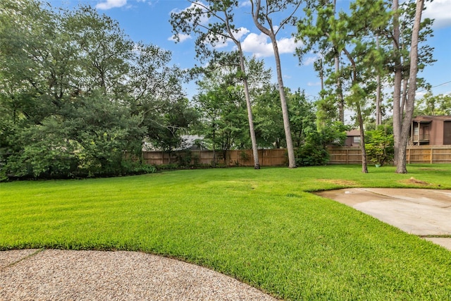 6415 Bayonne Dr, Spring, TX 77389 - view of yard