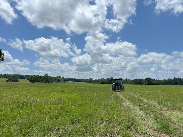 4376 State Highway 7 W, Crockett, TX 75835 - photo 42