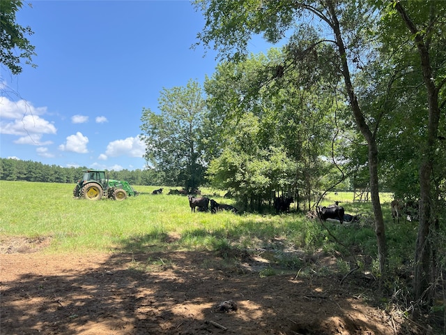 4376 State Highway 7 W, Crockett, TX 75835 - photo 29