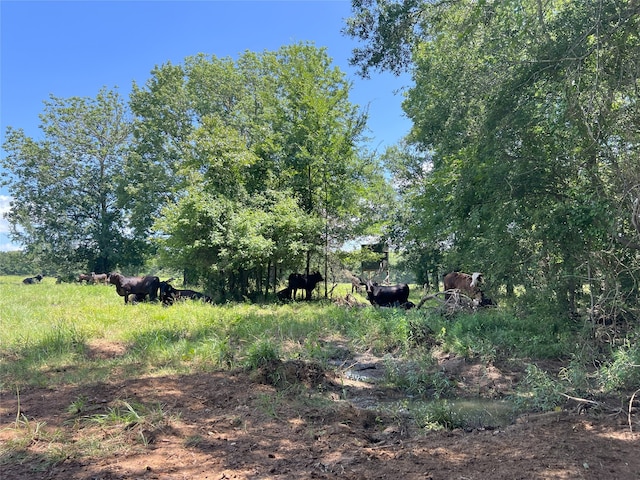 4376 State Highway 7 W, Crockett, TX 75835 - photo 30