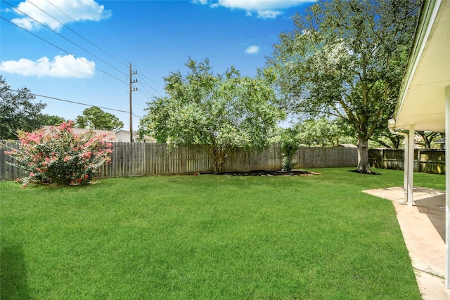 8510 Canyon Pine Dr, Spring, TX 77379 - photo 39