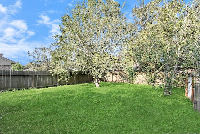 3502 Quail Meadow Dr, Missouri City, TX 77459 - view of fenced backyard