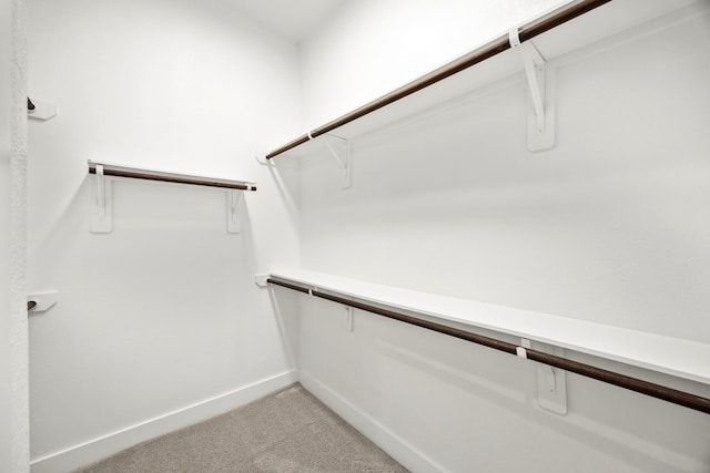13207 Terania Cliff Trce, Houston, TX 77059 - walk in closet featuring light carpet