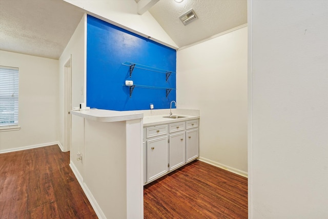 4790 Whispering Falls Dr, Houston, TX 77084 - bar featuring dark wood finished floors, a textured ceiling, and vaulted ceiling
