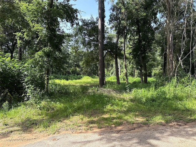 0TBD Cripple Creek Dr, Pinehurst, TX 77362