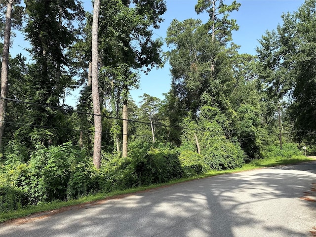 0TBD Cripple Creek Dr, Pinehurst, TX 77362