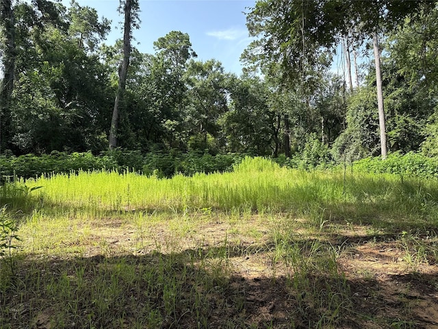 0TBD Cripple Creek Dr, Pinehurst, TX 77362