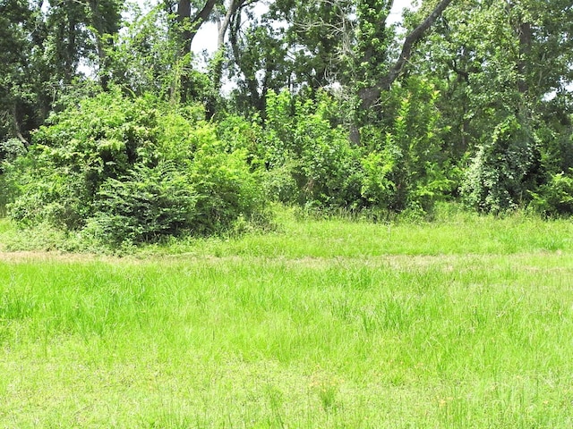 6100 Stuebner Airline Rd, Houston, TX 77091