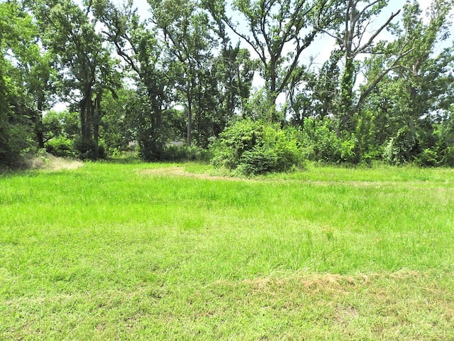 6100 Stuebner Airline Rd, Houston, TX 77091