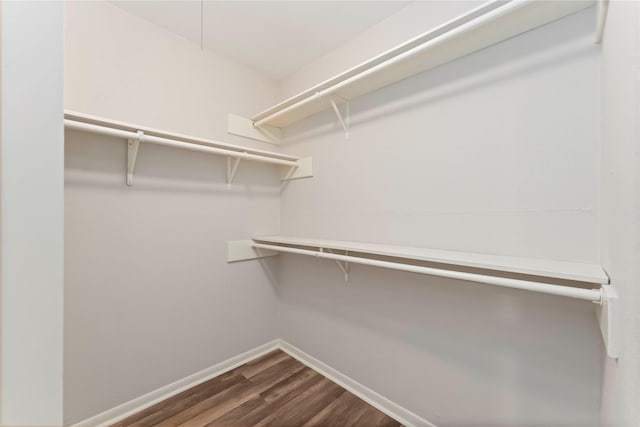 25515 Pepper Ridge Ln, Spring, TX 77373 - spacious closet featuring dark wood-style flooring