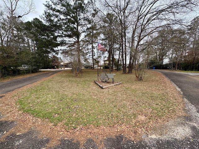276 Sunrise Dr, Livingston, TX 77351 - photo 35