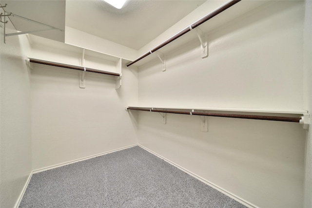 1959 Briar Grove Dr, Conroe, TX 77301 - spacious closet featuring carpet floors