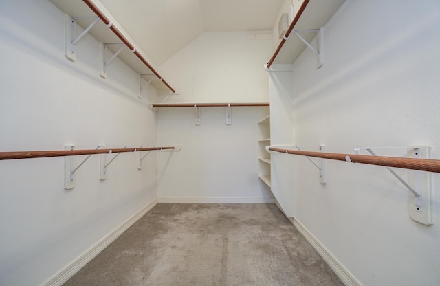 16214 Lobo Ln, Spring, TX 77379 - walk in closet with light carpet