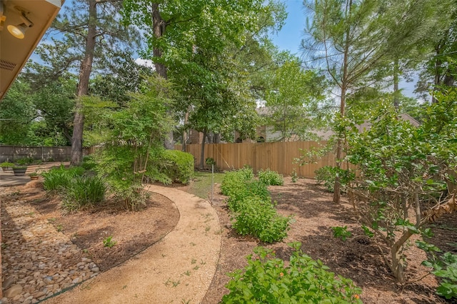 9411 Fenchurch Dr, Spring, TX 77379 - view of fenced backyard
