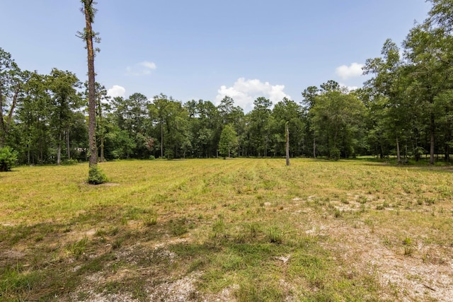 2623 Fm 1008, Dayton, TX 77535 - photo 2