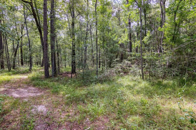 2623 Fm 1008, Dayton, TX 77535 - photo 7