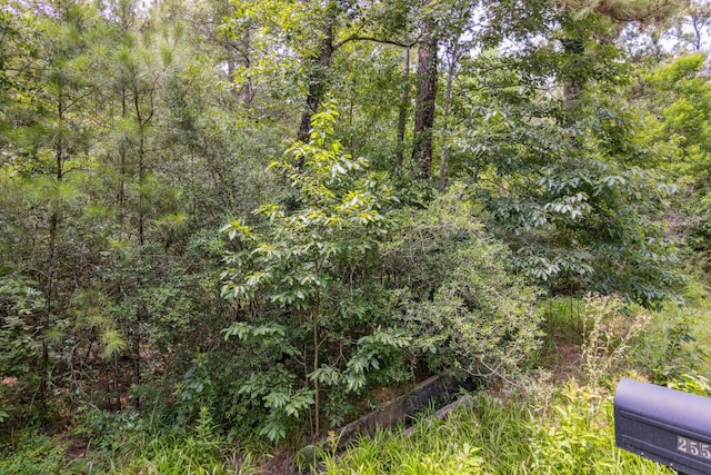 2623 Fm 1008, Dayton, TX 77535 - photo 9