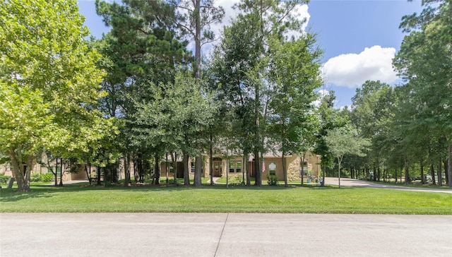 11302 Longmire Creek Ct, Conroe, TX 77304 - photo 4