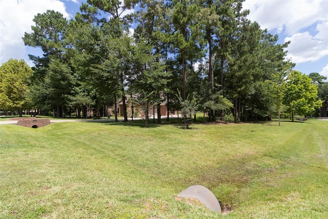11302 Longmire Creek Ct, Conroe, TX 77304 - photo 5