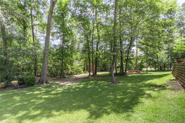 11302 Longmire Creek Ct, Conroe, TX 77304 - photo 10