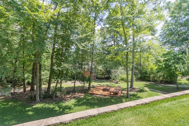 11302 Longmire Creek Ct, Conroe, TX 77304 - photo 13