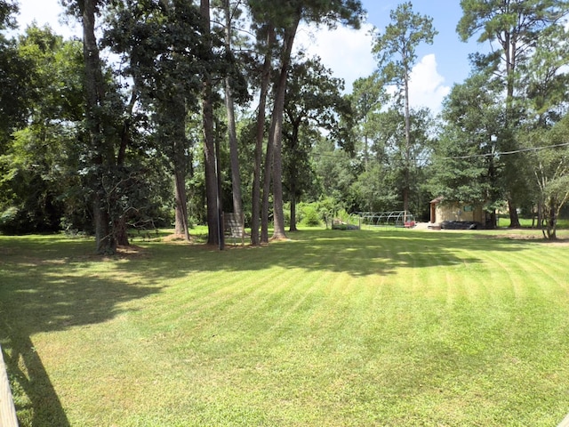 13202 N Decker Dr, Magnolia, TX 77355 - view of green lawn