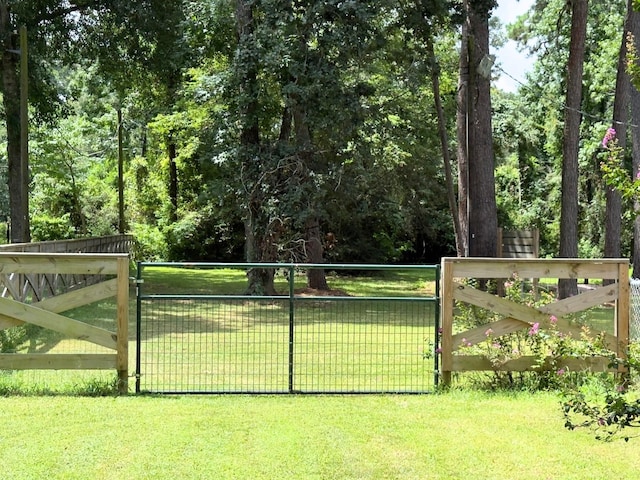 13202 N Decker Dr, Magnolia, TX 77355 - view of gate