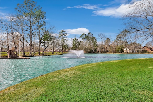 16606 River Wood Ct, Crosby, TX 77532 - water view