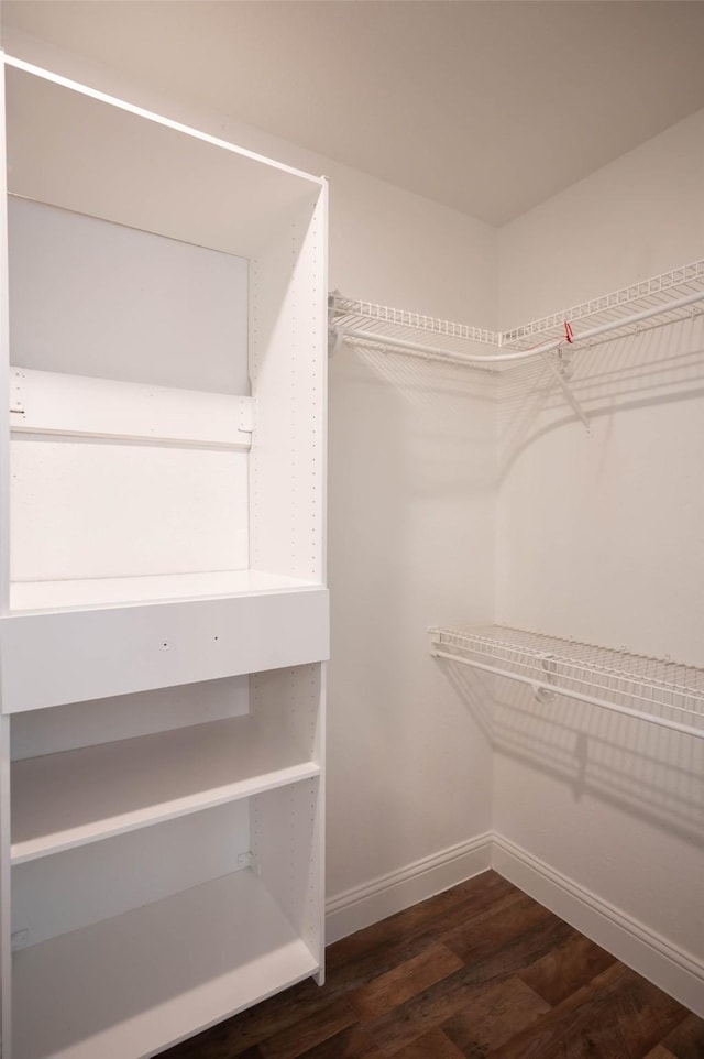 238 Almond Dr, Lake Jackson, TX 77566 - spacious closet with dark wood-style floors