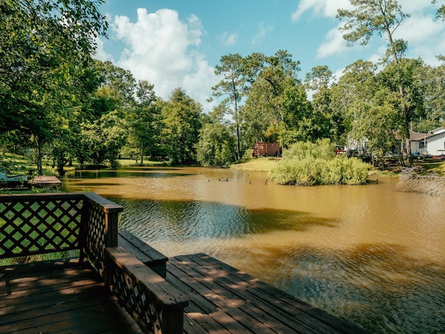 1115 Magnolia Terrace Cir, Dickinson, TX 77539 - photo 29
