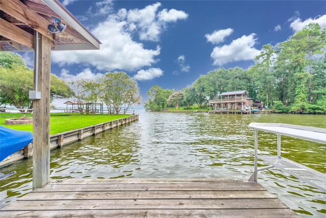 220 Harbor Dr, Onalaska, TX 77360 - photo 2