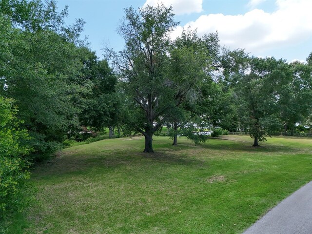 259 S Bay Dr, Bullard, TX 75757 - photo 10