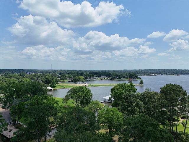 259 S Bay Dr, Bullard, TX 75757 - photo 6