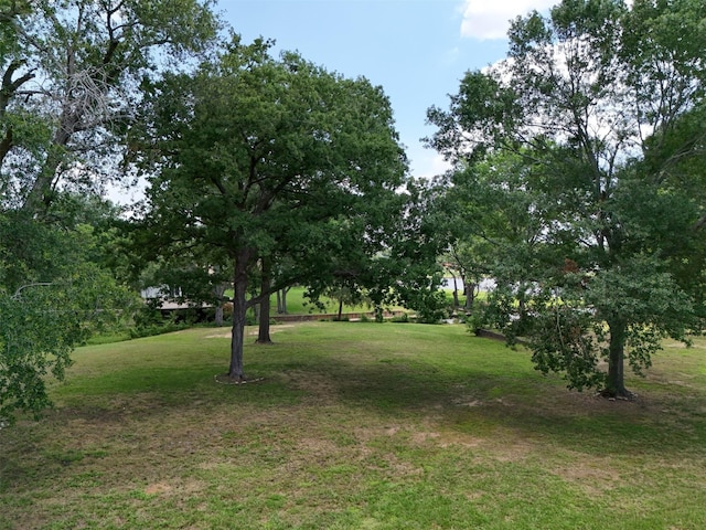 259 S Bay Dr, Bullard, TX 75757 - photo 11
